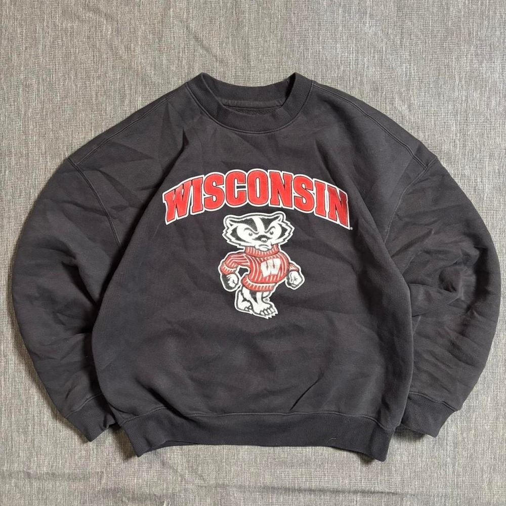 Black Hollister Wisconsin Badgers Sweatshirt - M‎